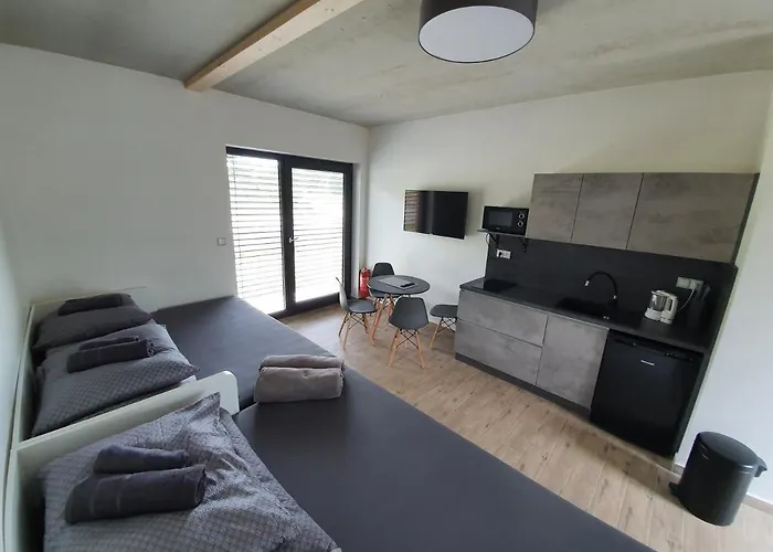Moderni V Relax Lipno U Plaze Windy Point Černá v Pošumaví
