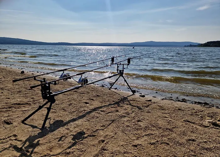 Apartament Moderni V Relax Lipno U Plaze Windy Point Černá v Pošumaví