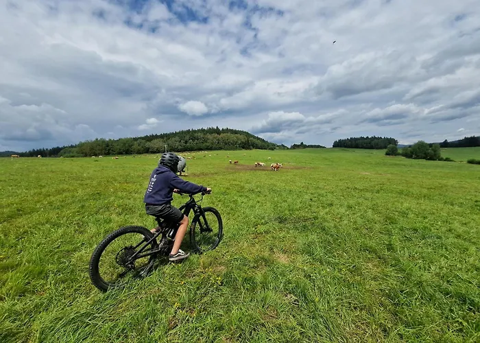 Moderni V Relax Lipno U Plaze Windy Point Černá v Pošumaví